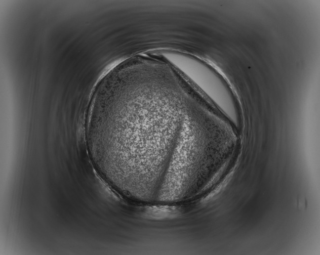 X0000087421137200705041302