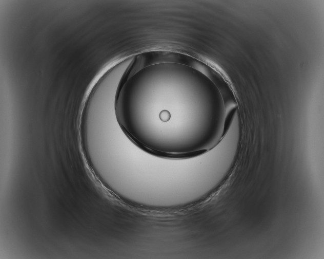 X0000087421138200705041302