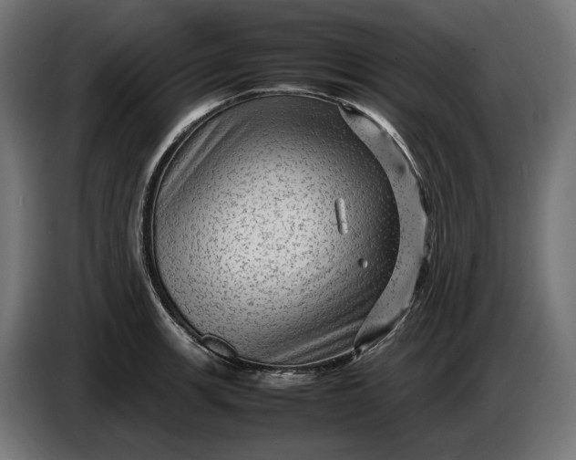 X0000087421139200705041302