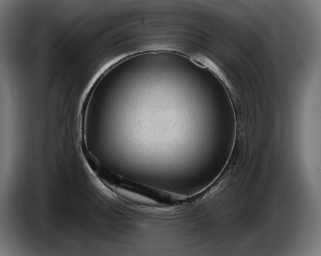 X0000087421140200705041302