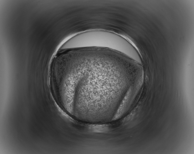 X0000087421143200705041302