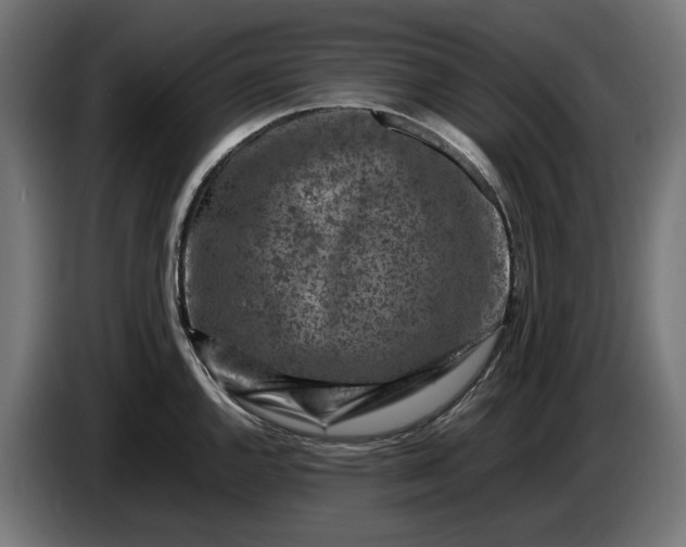 X0000087421144200705041302