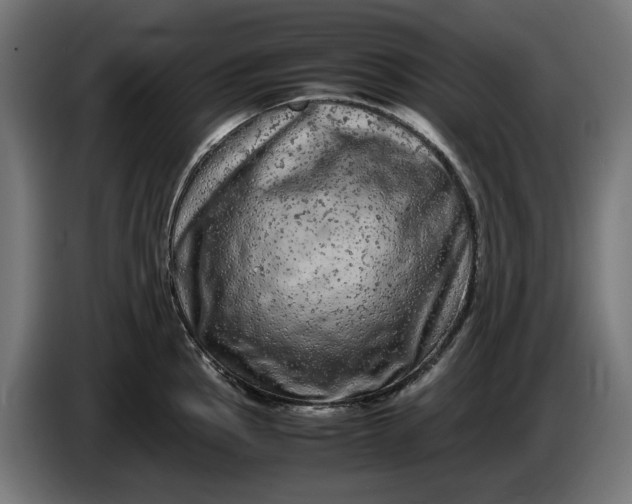 X0000087421145200705041302