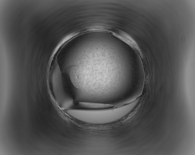 X0000087421146200705041303