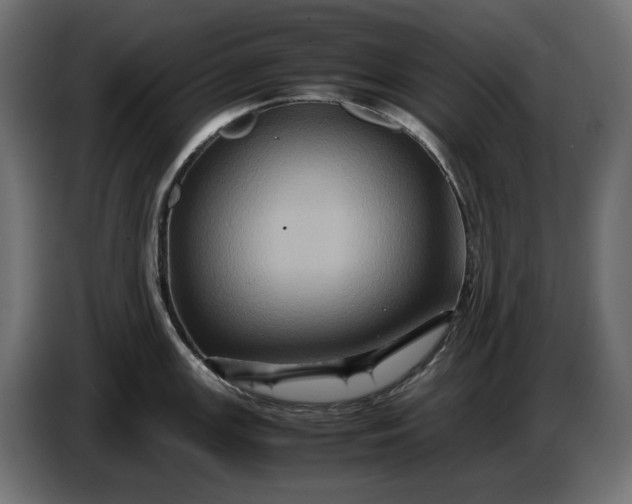 X0000087421147200705041303