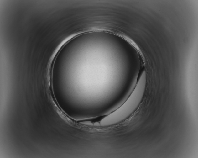 X0000087421148200705041303