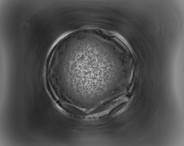 X0000087421149200705041303