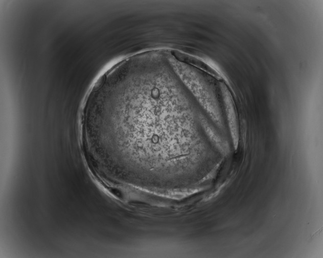 X0000087421151200705041303