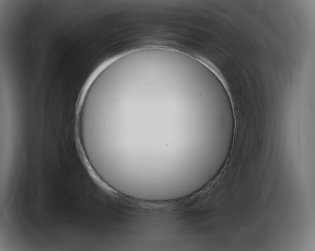 X0000087421152200705041303