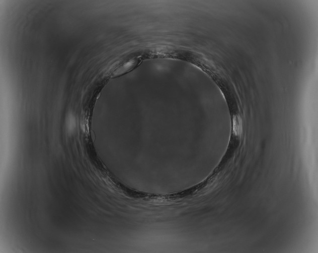 X0000087421155200705041302