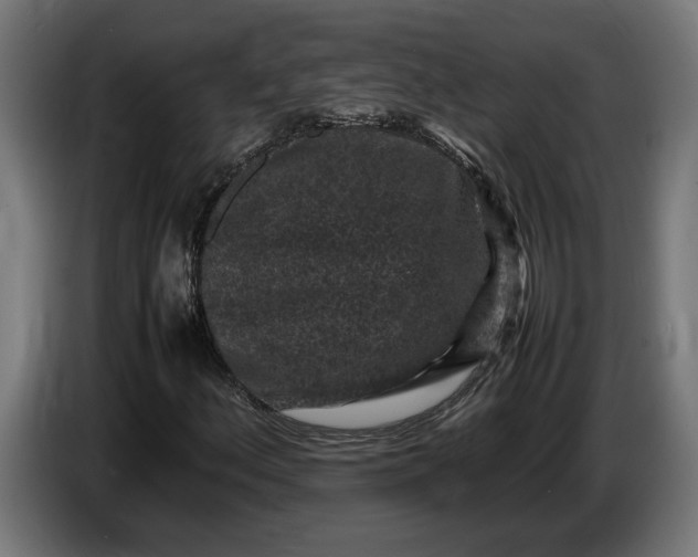 X0000087421156200705041302