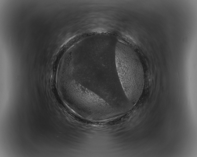 X0000087421158200705041302