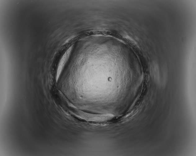 X0000087421159200705041302