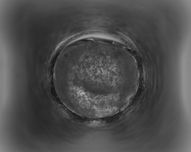 X0000087421160200705041302