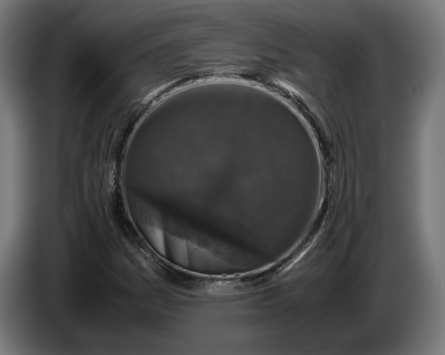 X0000087421161200705041302