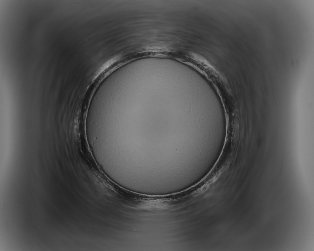 X0000087421162200705041302