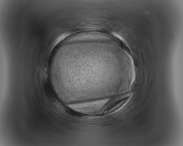 X0000087421163200705041302