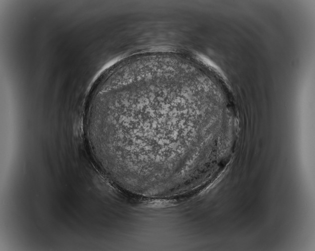 X0000087421166200705041302