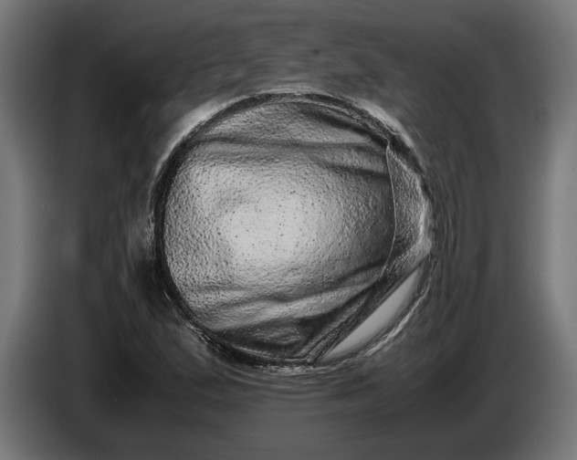 X0000087421167200705041302