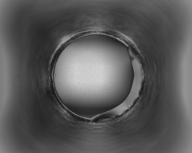 X0000087421168200705041302