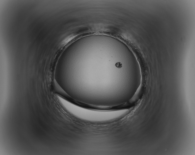 X0000087421169200705041302