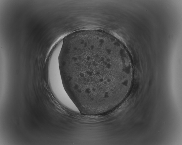 X0000087421171200705041302