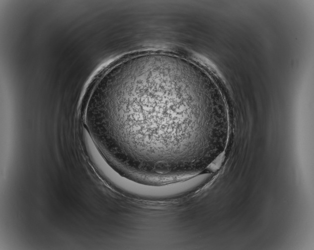 X0000087421172200705041302