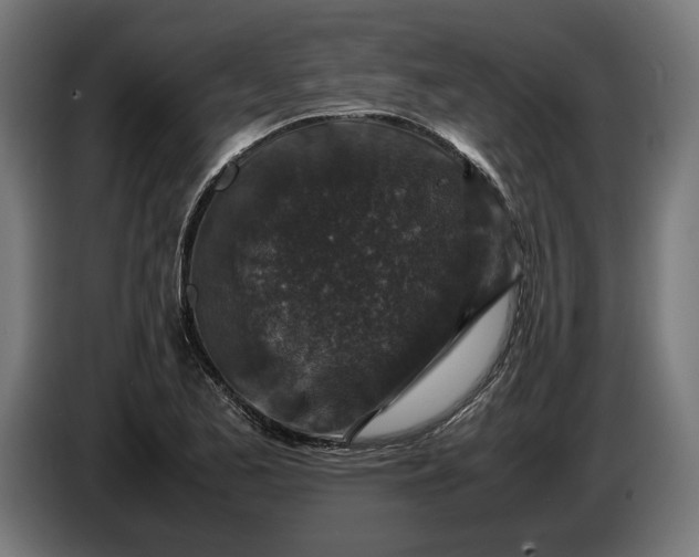 X0000087421173200705041302