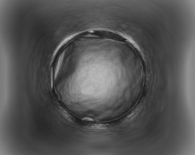 X0000087421175200705041302