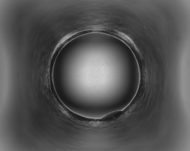 X0000087421176200705041302