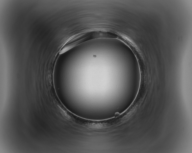 X0000087421177200705041302