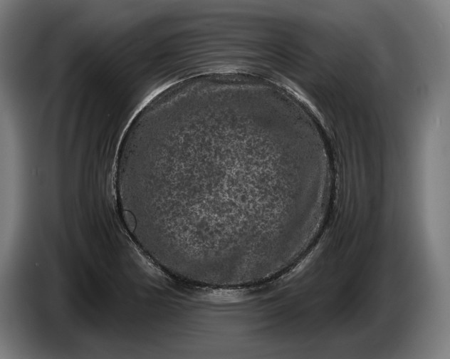 X0000087421178200705041302