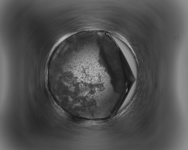 X0000087421179200705041302