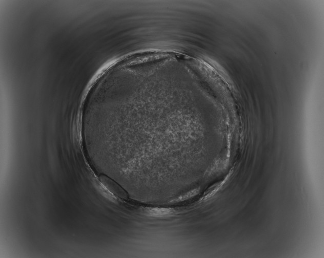 X0000087421180200705041302