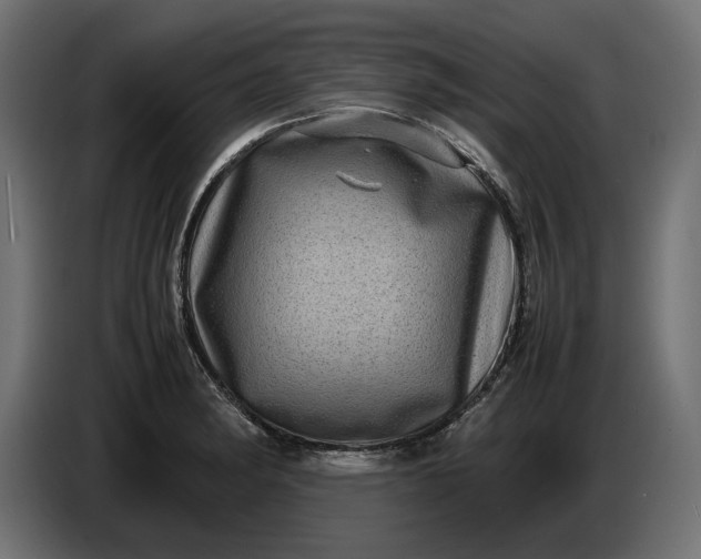 X0000087421182200705041302