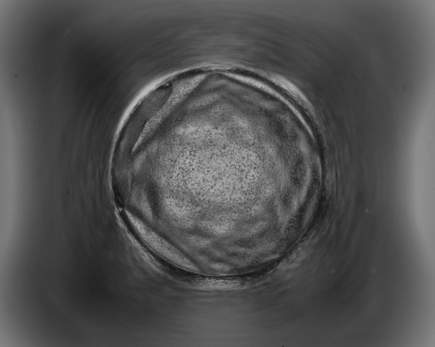 X0000087421183200705041302