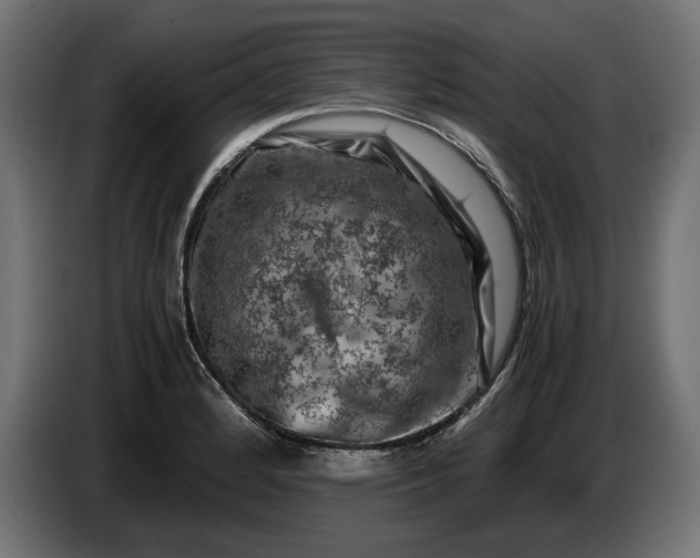 X0000087421184200705041302