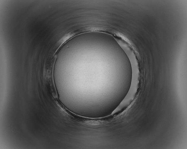 X0000087421185200705041302