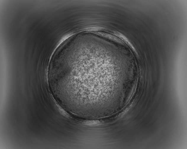 X0000087421186200705041302