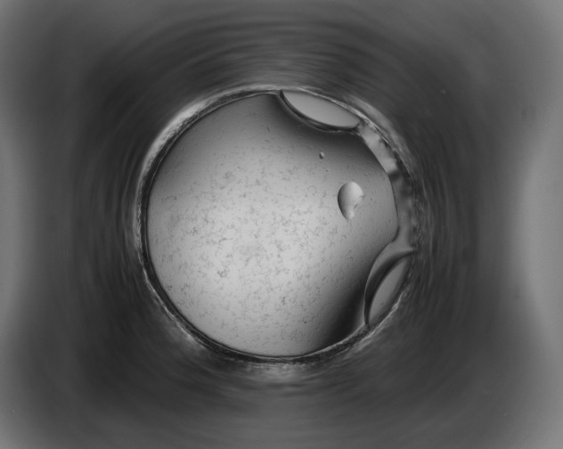 X0000087421188200705041302