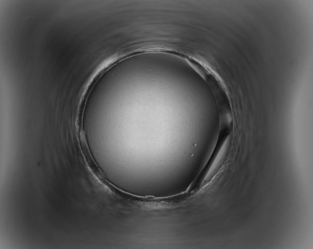 X0000087421189200705041301