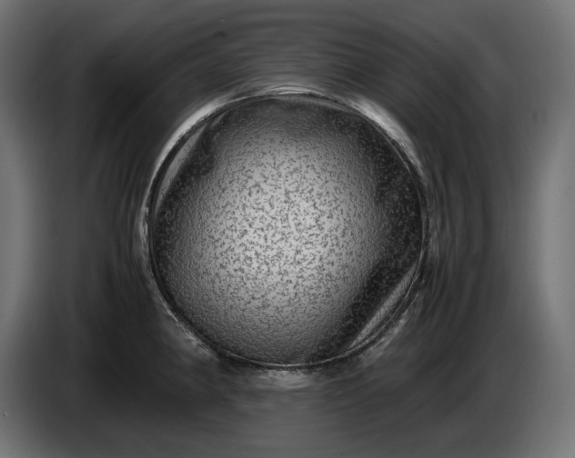 X0000087421190200705041301