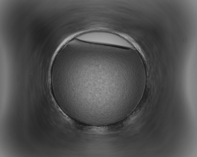 X0000087421191200705041301