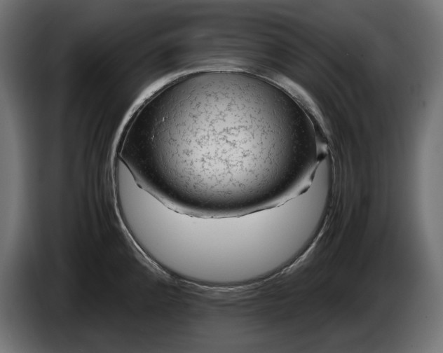 X0000087421192200705041301