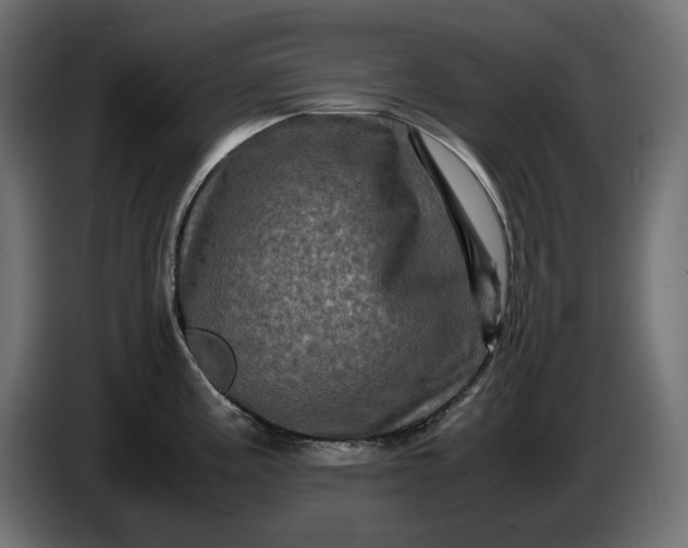 X0000087421195200705041301