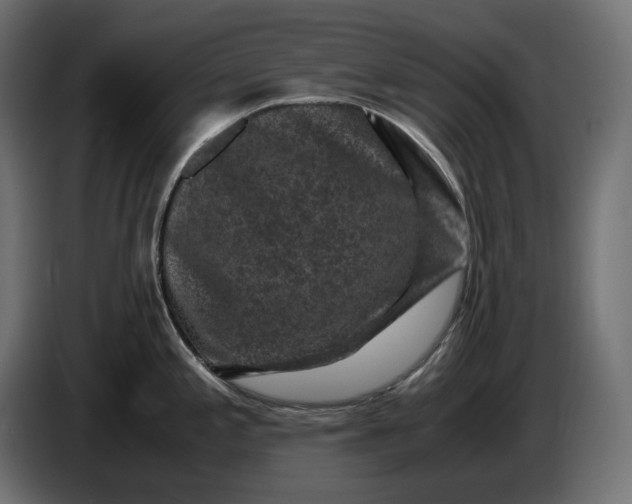 X0000087421197200705041301