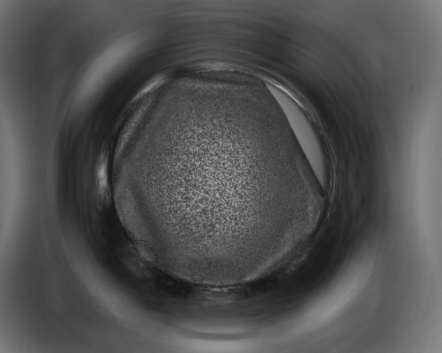 X0000087421198200705041301