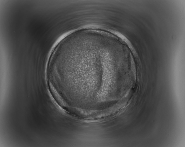 X0000087421199200705041301