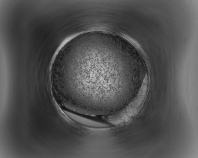 X0000087421200200705041301