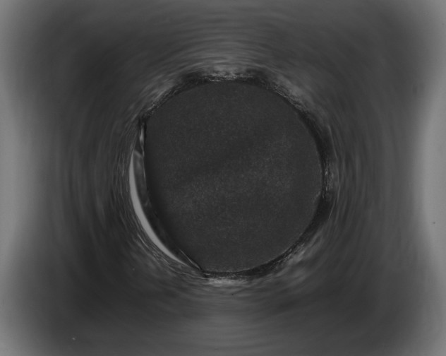 X0000087421202200705041301